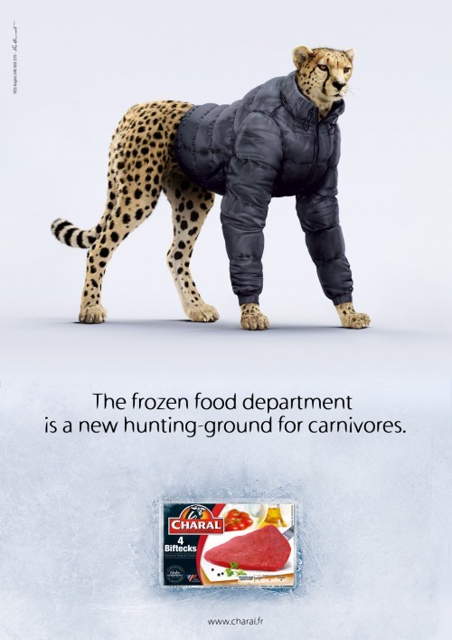 保护动物公益海报创意设计